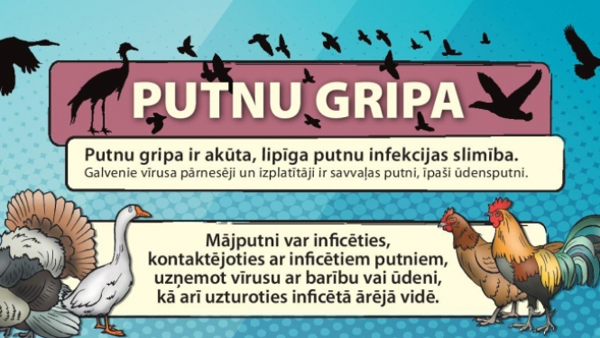 putnu gripa1