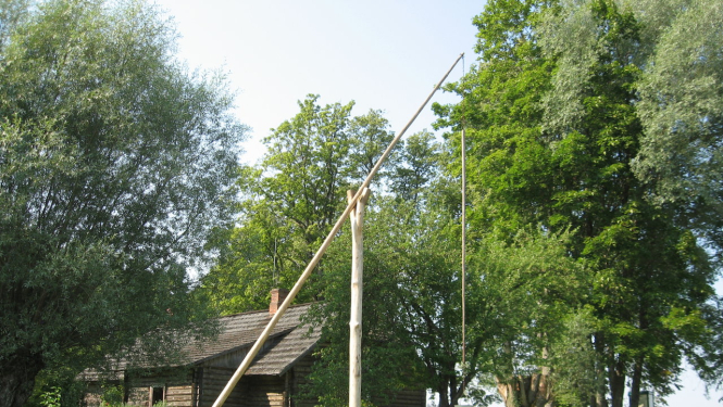 rumbiņi fotomedības