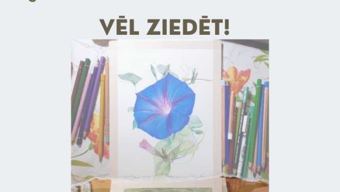 vel ziedet