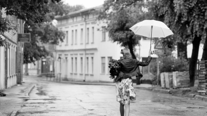 Aicina piedalīties akcijā ''Viena diena Limbažu novadā''