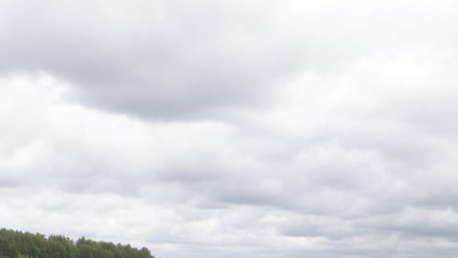 Pašvaldības policija