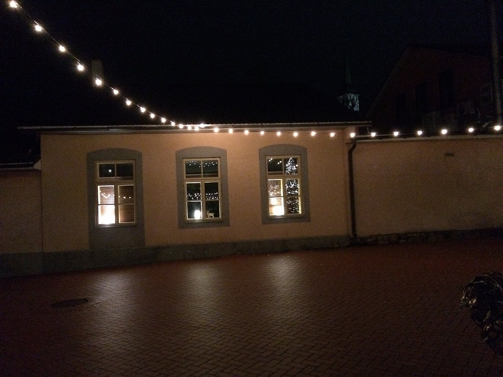 Limbažos iedegta Ziemassvētku egle