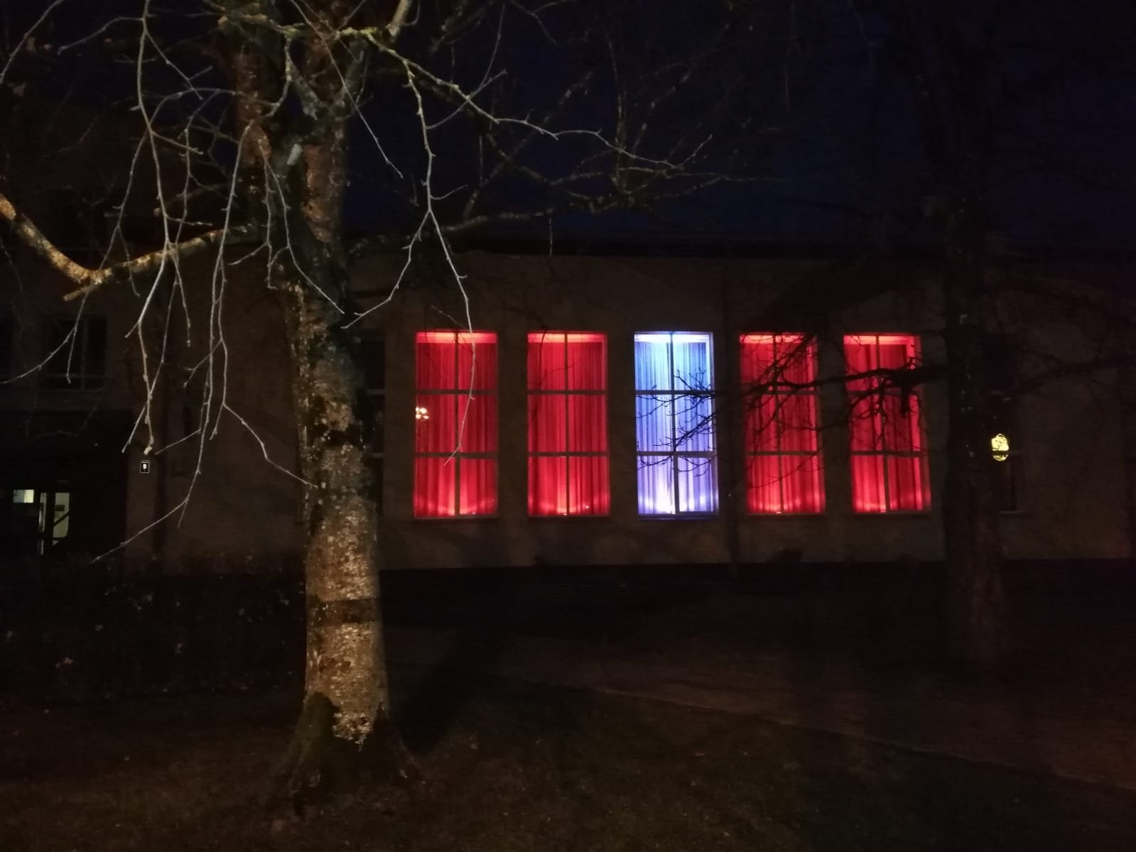 Lāčplēša diena Limbažos (2020)