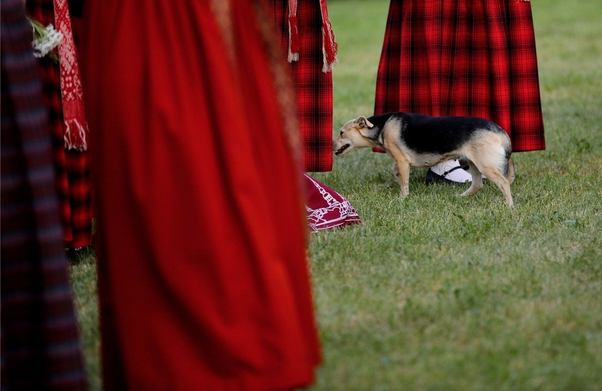 Emiļa Melngaiļa 145. gadu jubilejai veltītie mūzikas svētki (Foto: Evija Trifanova)