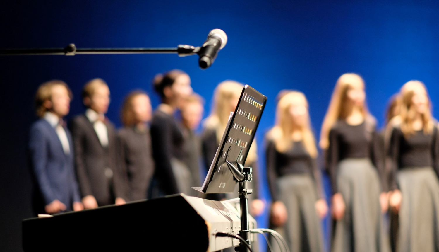 Limbažu apriņķa vokālo, tautas mūzikas instrumentu ansambļu, folkloras kopu un kapelu skate