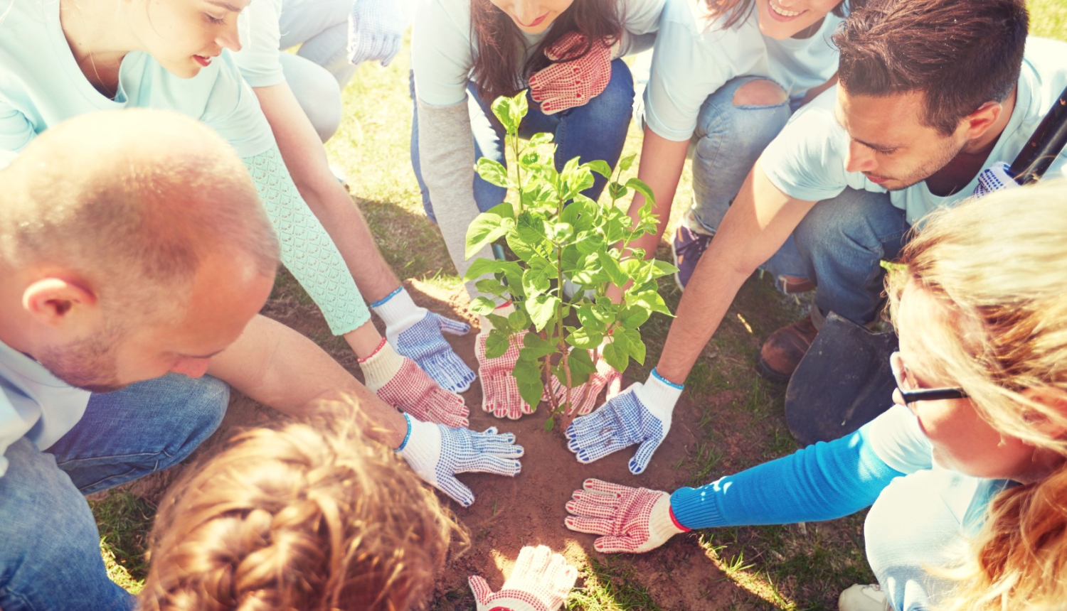 Līdz 6.aprīlim var iesniegt pieteikumu dalībai Limbažu novada pašvaldības nevalstisko organizāciju projektu konkursā