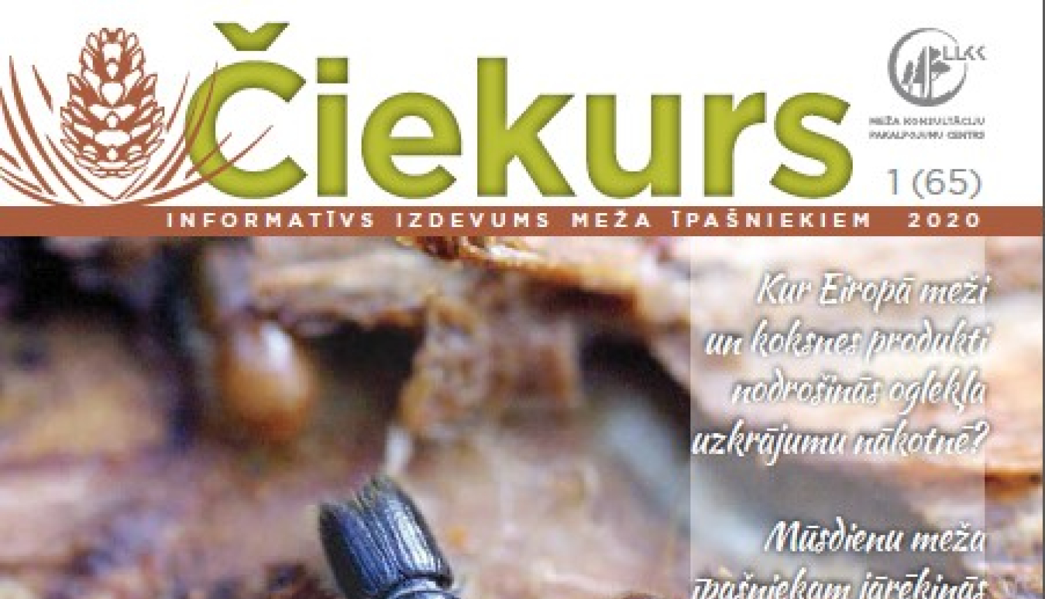 Informatīvais izdevums meža īpašniekiem “Čiekurs”