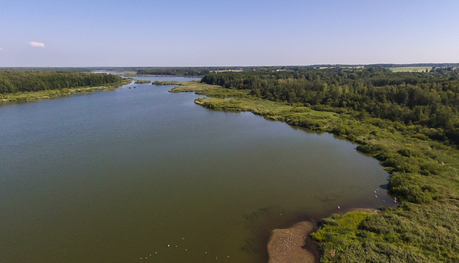 Pašvaldības aģentūra “ALDA” pie Dūņezera iecerējusi izveidot pontona laipu
