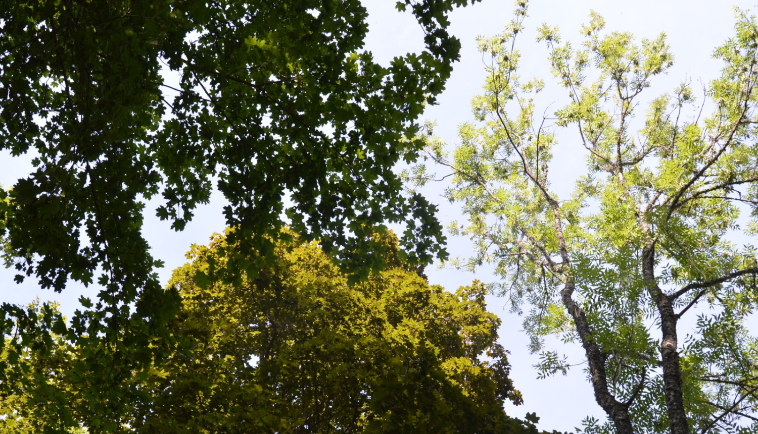 Ārciemā izveidota dabas taka