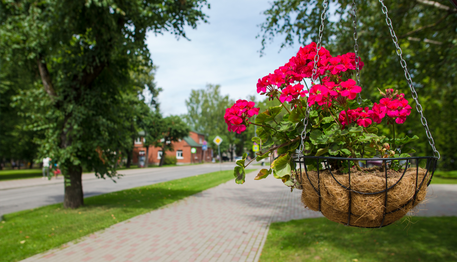 Aicinām piedalīties aptaujā par Limbažu pilsētas labiekārtojumu un ainavu