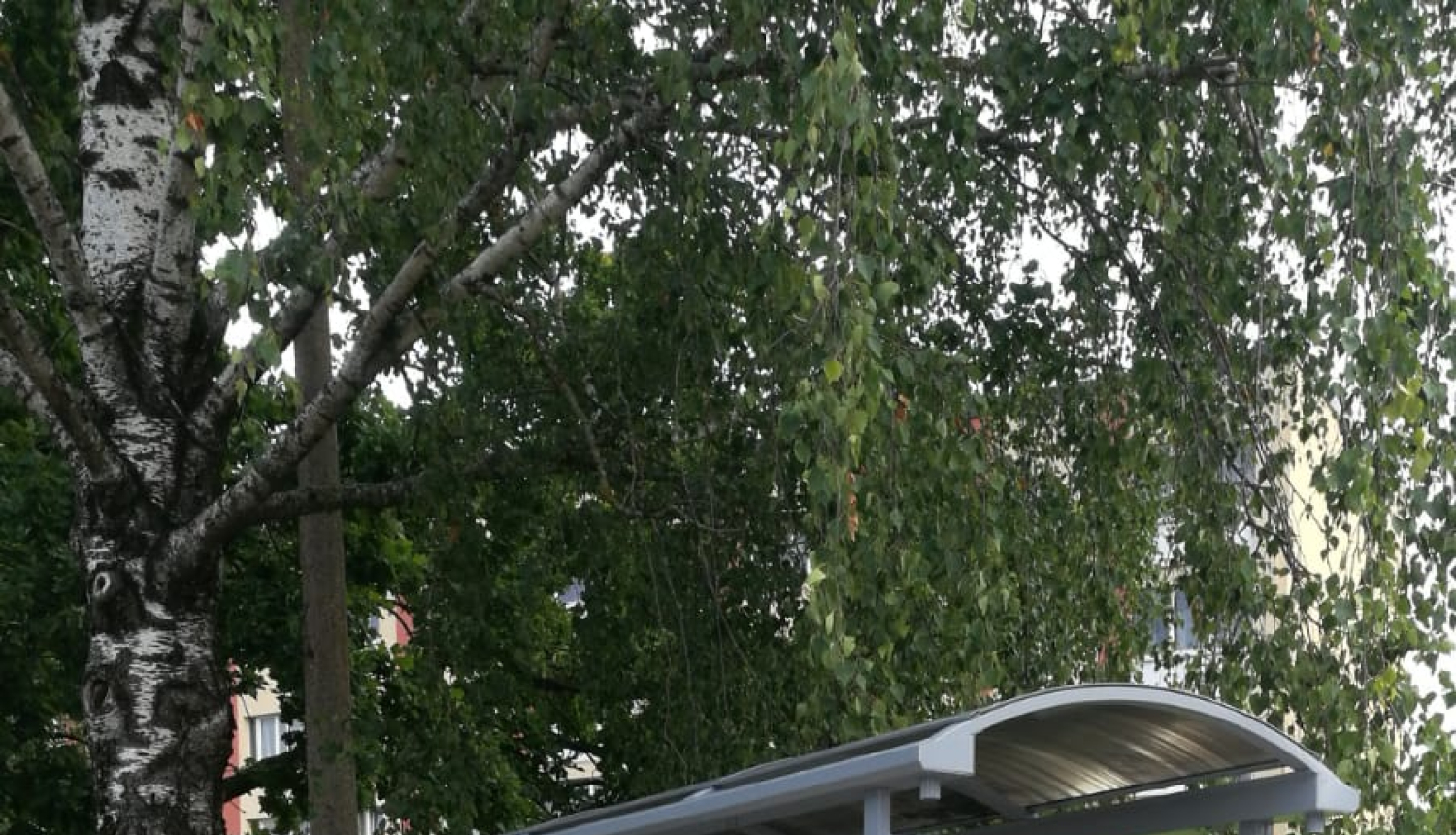 Limbažos uz Sporta ielas uzstādīta jauna autobusu pieturvieta