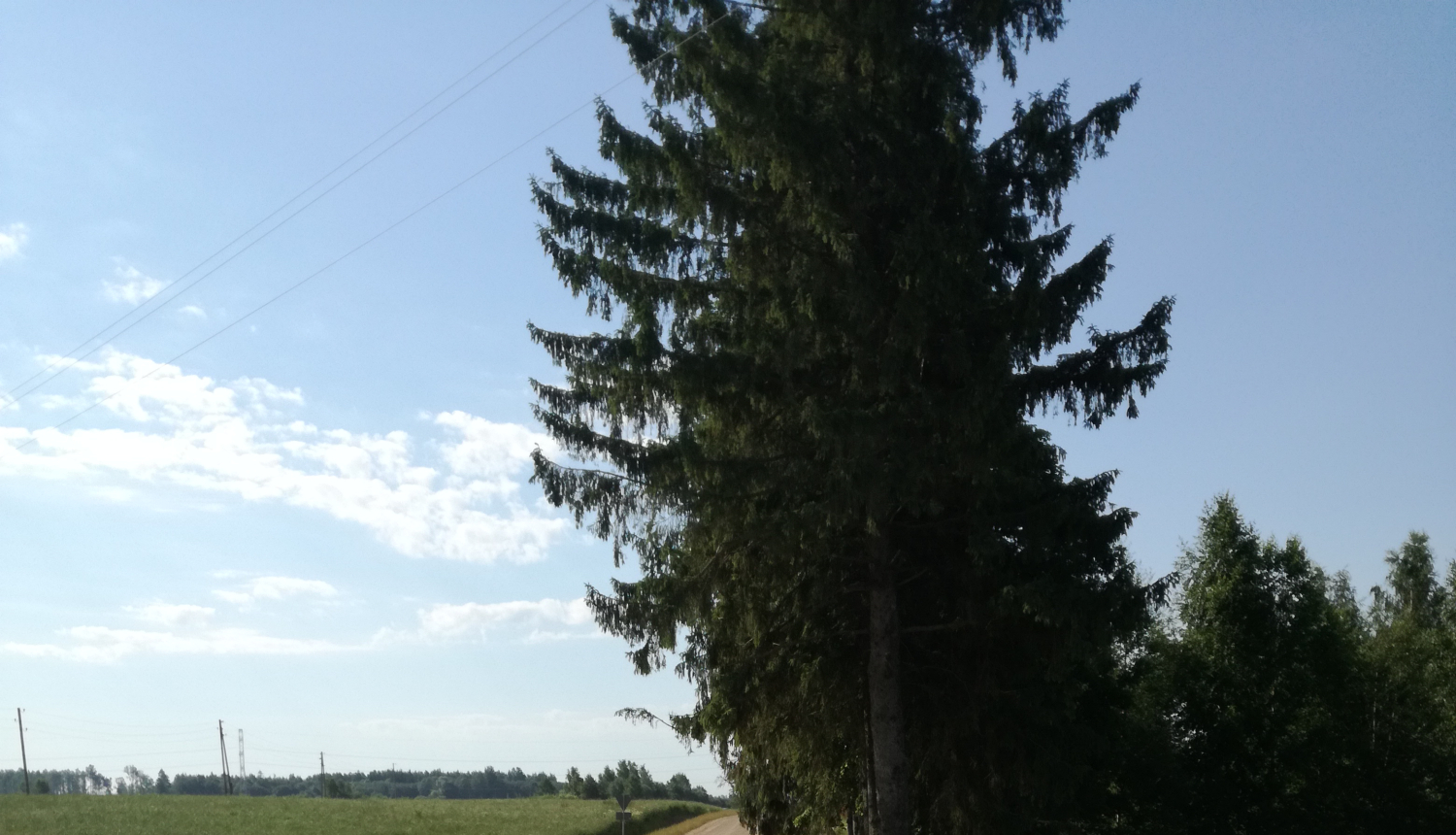 Limbažu pagastā sakārtots autoceļš “Šķērstiņi - Pīlādži”