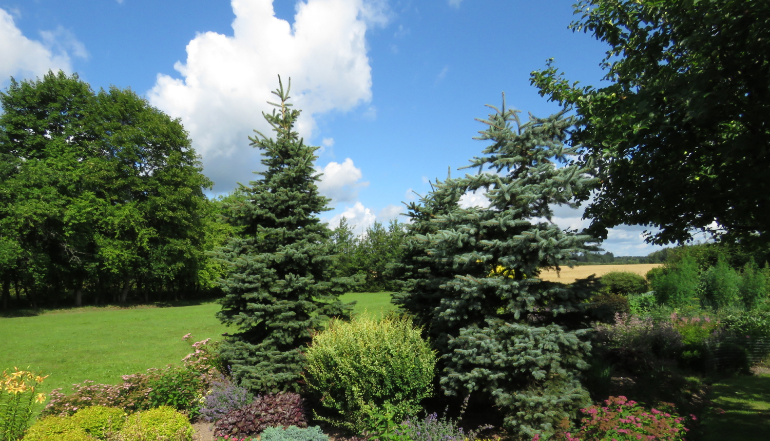 Aicinām pieteikt dalību konkursā “Limbažu novada sakoptākā sēta 2018”