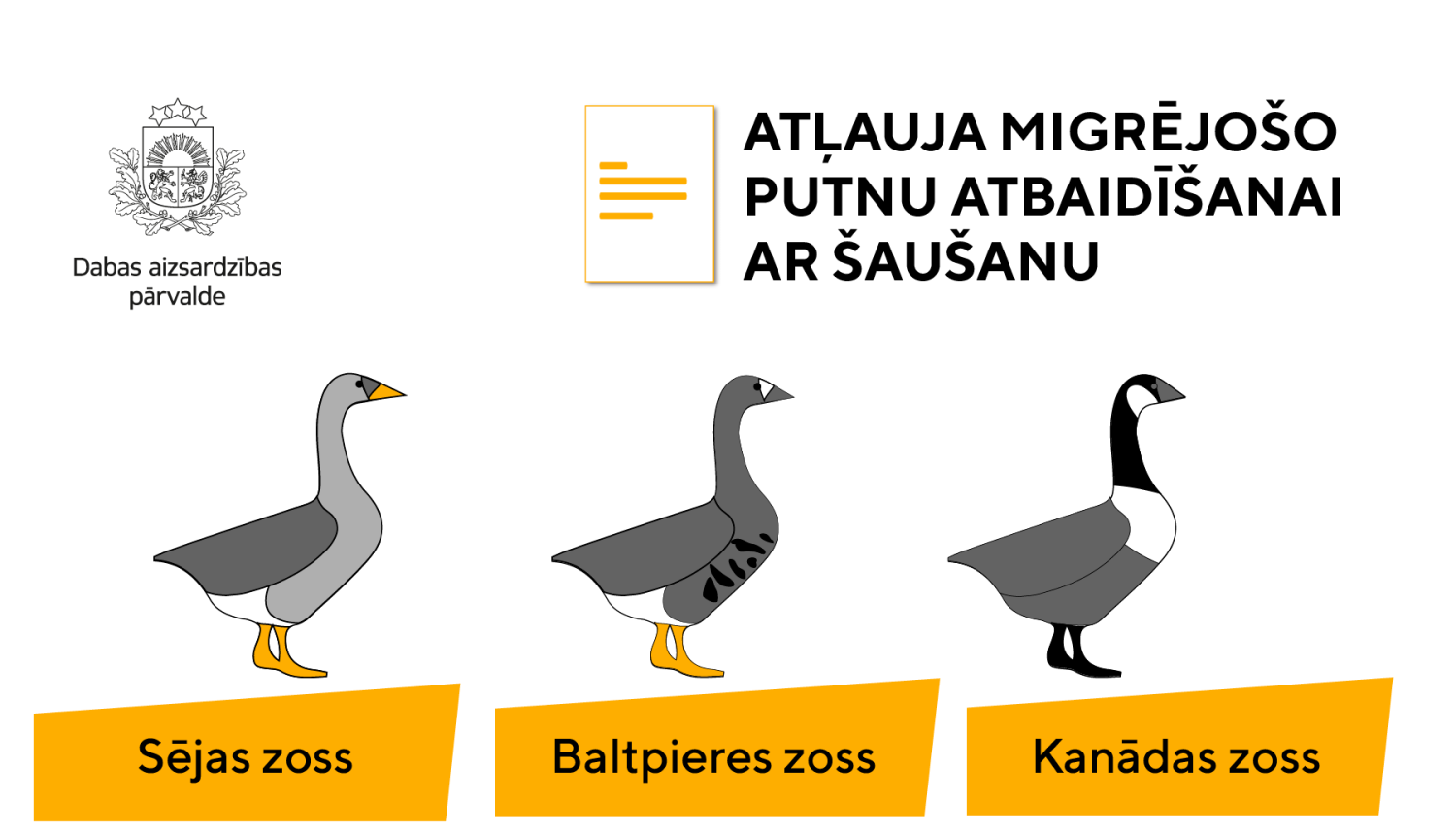 Migrējošo putnu atbaidīšanai no sējumiem šaušana nav vienīgā metode