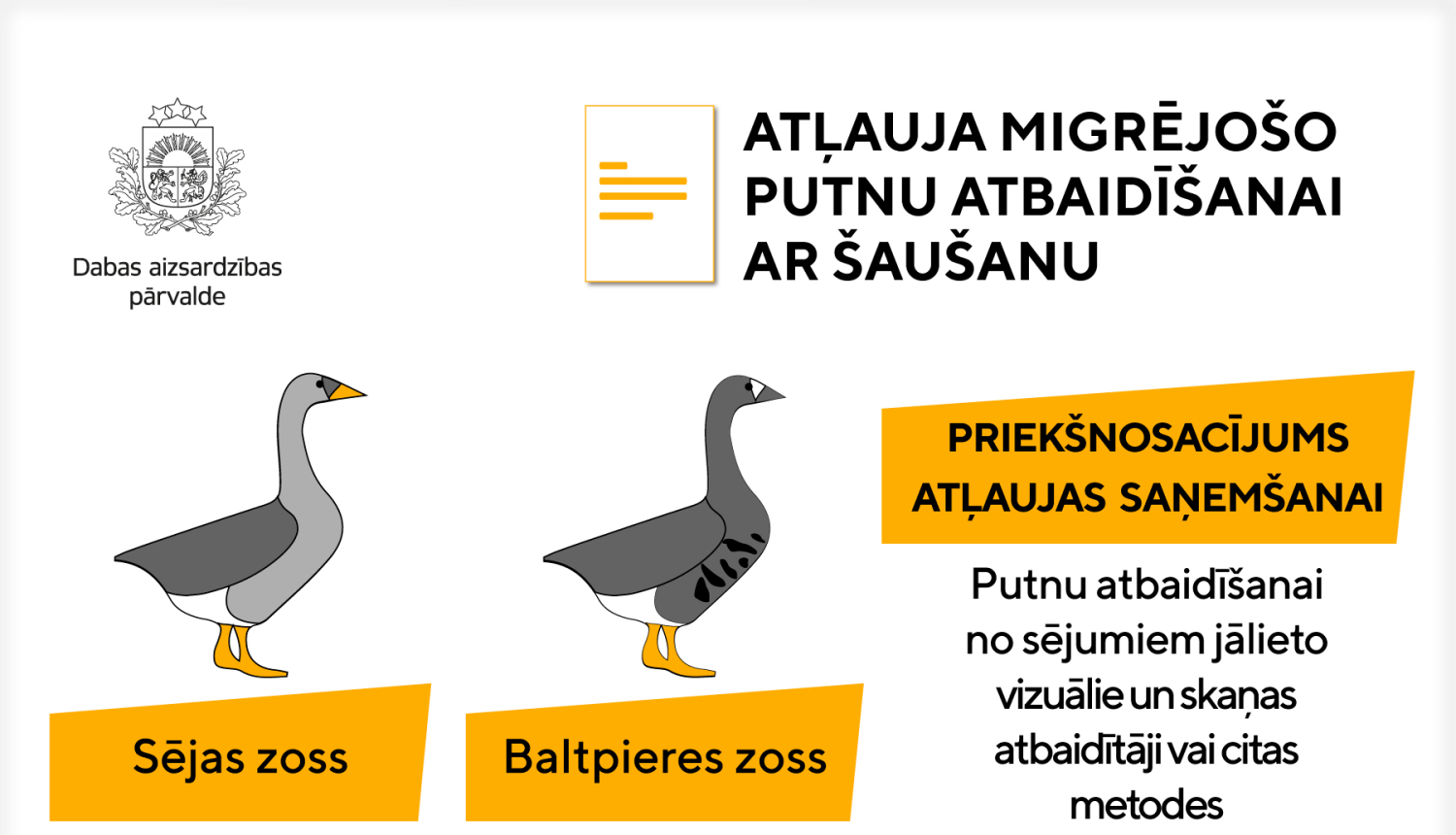 Zemnieku saimniecības varēs saņemt atļaujas migrējošo zosu atbaidīšanai no sējumiem