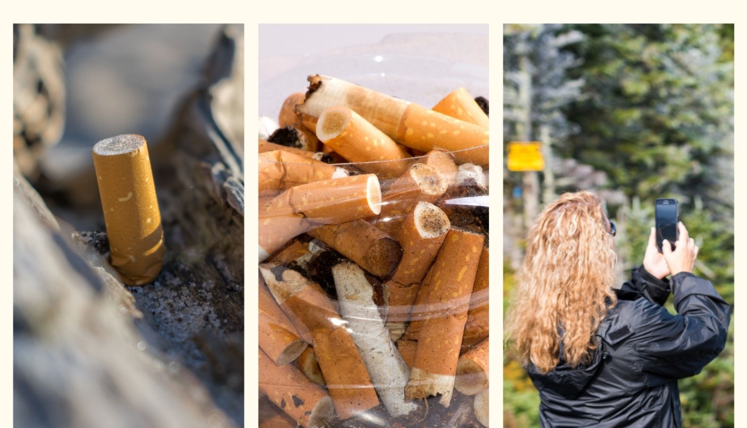 Atzīmējot Pasaules talku, “Zaļā josta” aicina doties dabā un atbrīvot vidi no bezatbildīgi izmestiem izsmēķiem