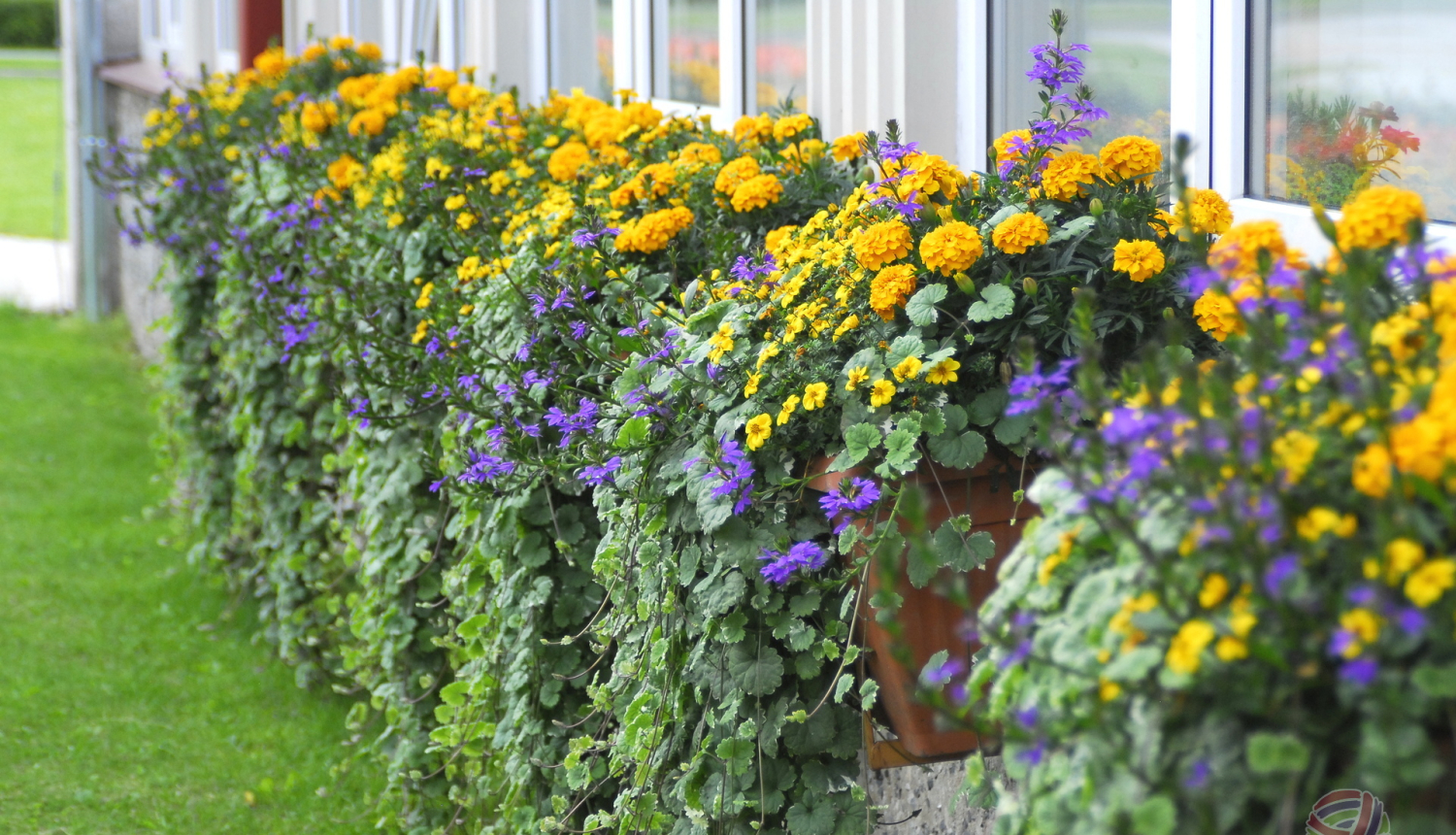 Noslēgusies aptauja par Limbažu pilsētas labiekārtojumu