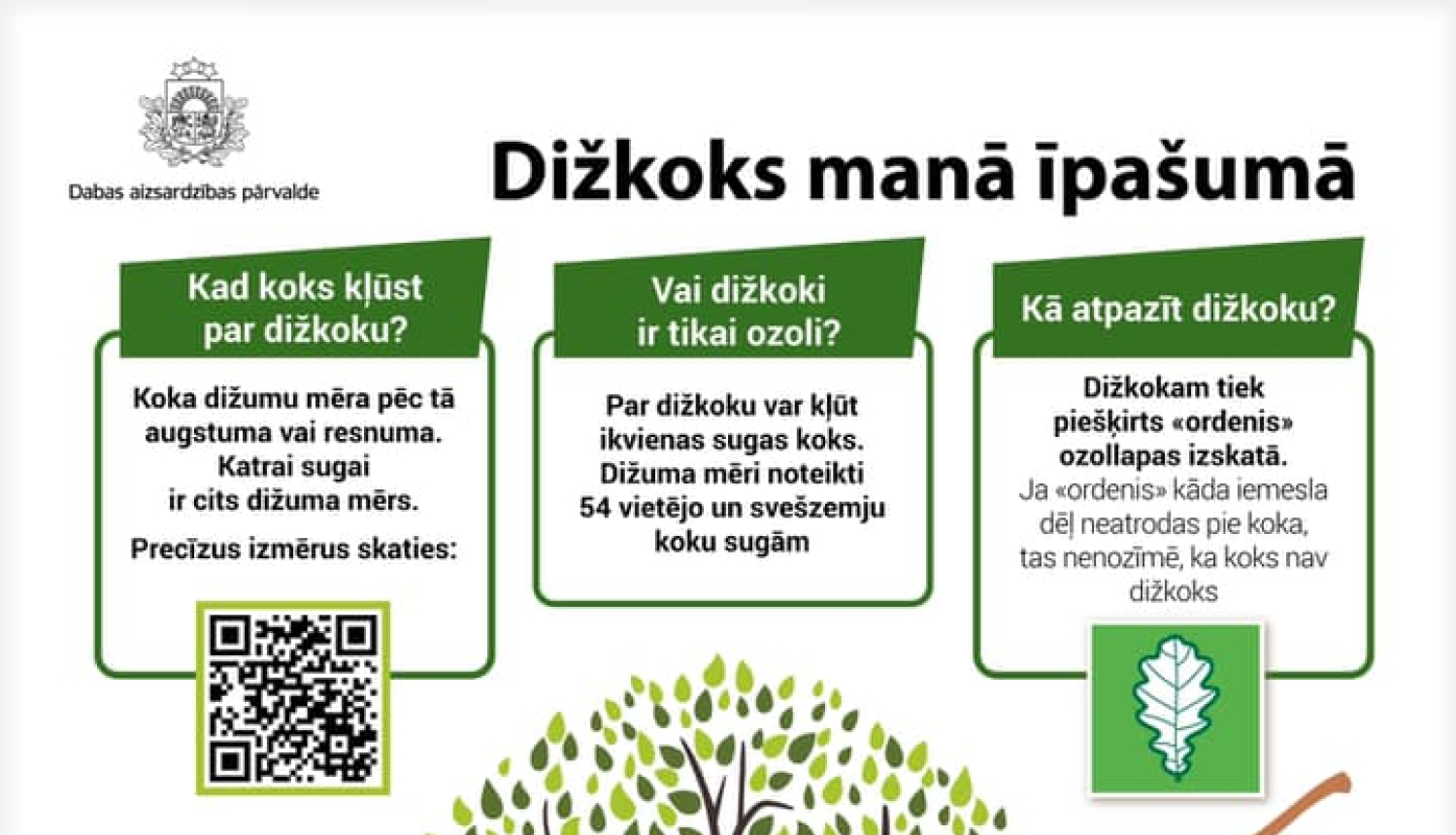 Par koku ciršanu ārpus meža platības