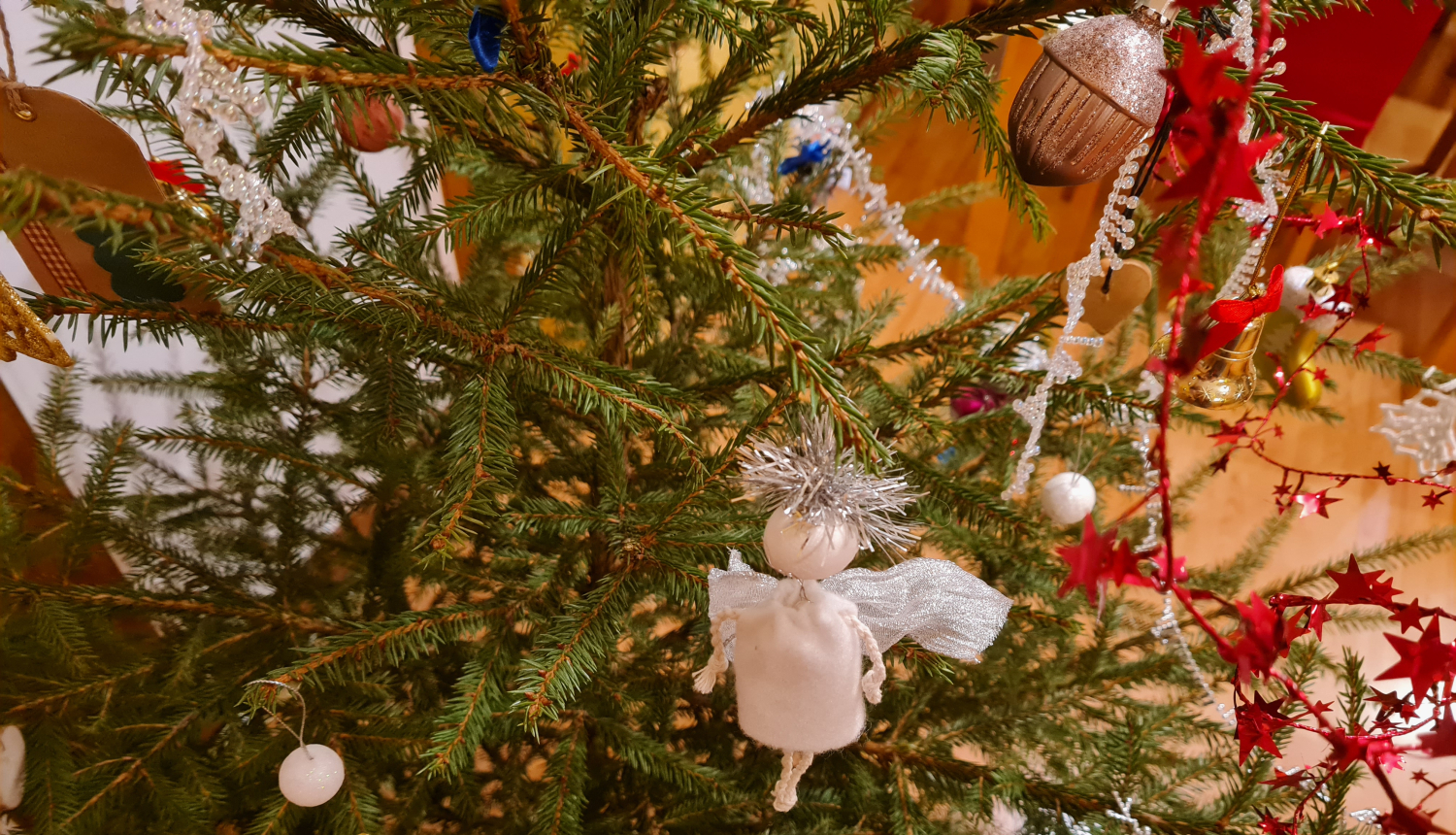 Kā pareizi rīkoties ar eglīti pēc svētkiem