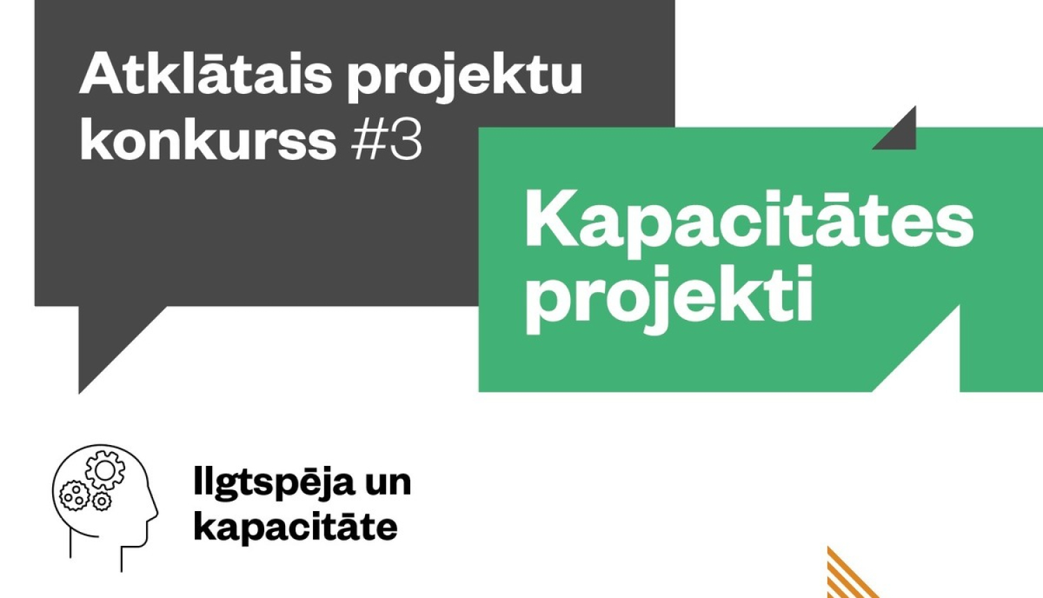 Piedalies Aktīvo iedzīvotāju fonda Kapacitātes projektu dienās Vidzemē!