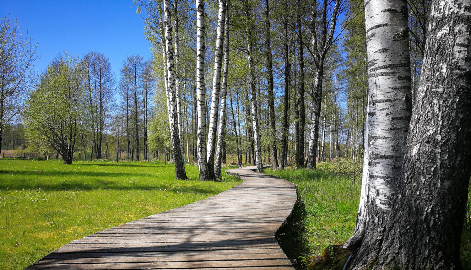 Lielezera dabas taka