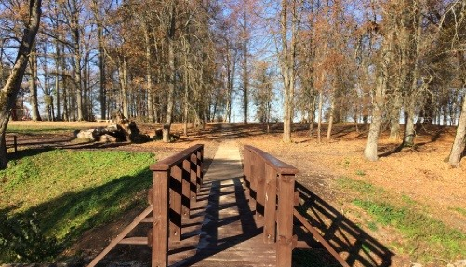 Skultes muižas parka labiekārtošana