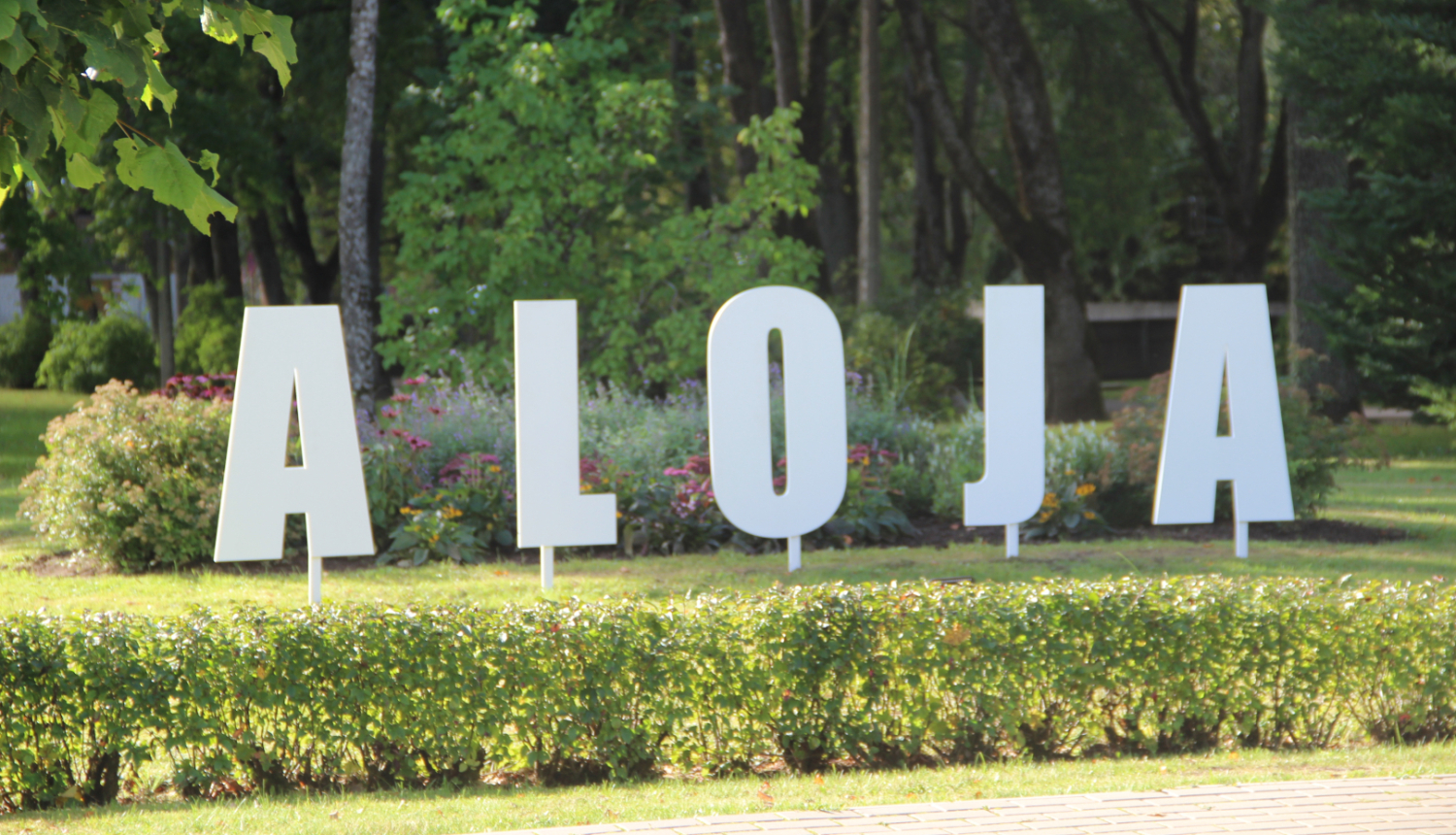 aloja