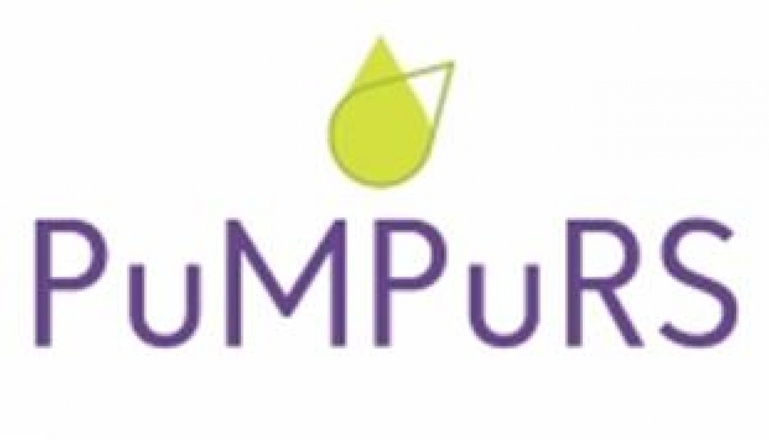 “PuMPuRS” ietvaros apstiprināti divi biedrību projekti