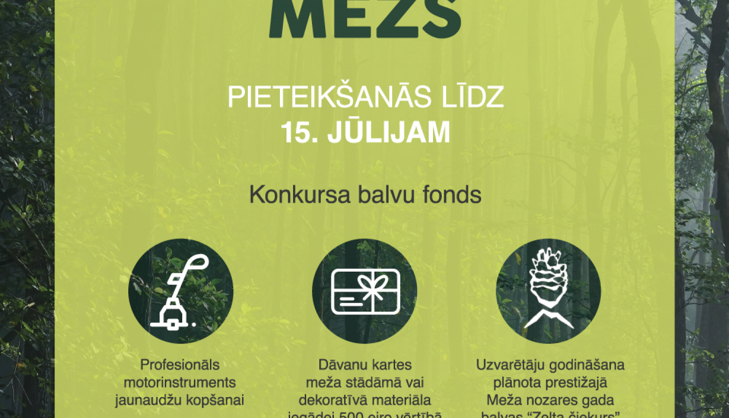 Izsludināta pieteikšanās konkursam “Sakoptākais mežs 2020” Izsludināta pieteikšanās konkursam “Sakoptākais mežs 2020”