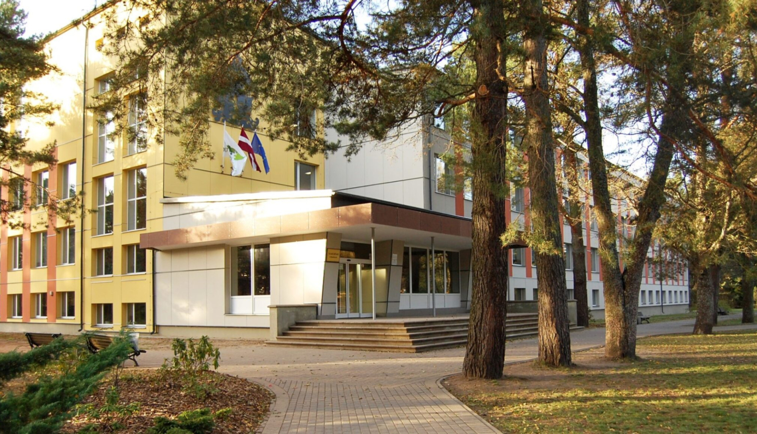 maijs
