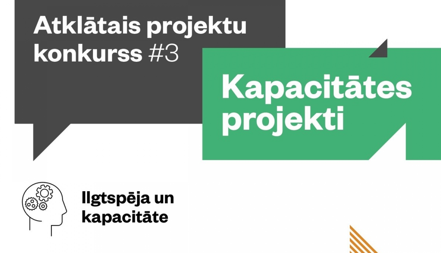 Piedalies Aktīvo iedzīvotāju fonda Kapacitātes projektu dienās Vidzemē!