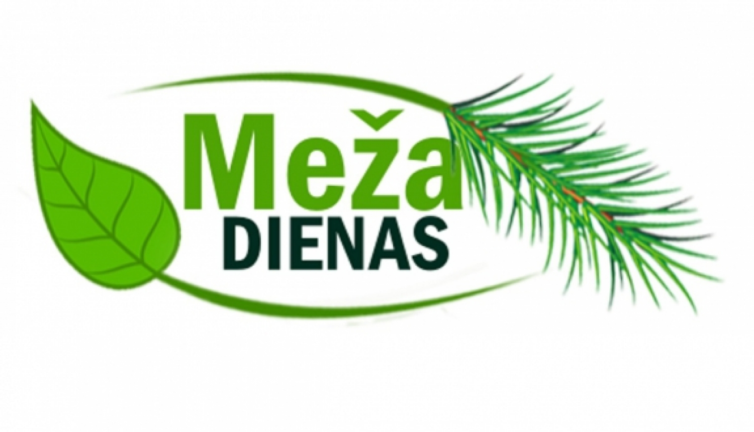 Ārciema parkā, projektu konkursa "Meža dienas 2017" ietvaros, iestādīti košumkrūmi