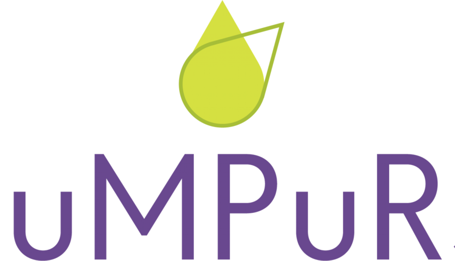 Piedalāmies projekta PuMPuRS konferencē
