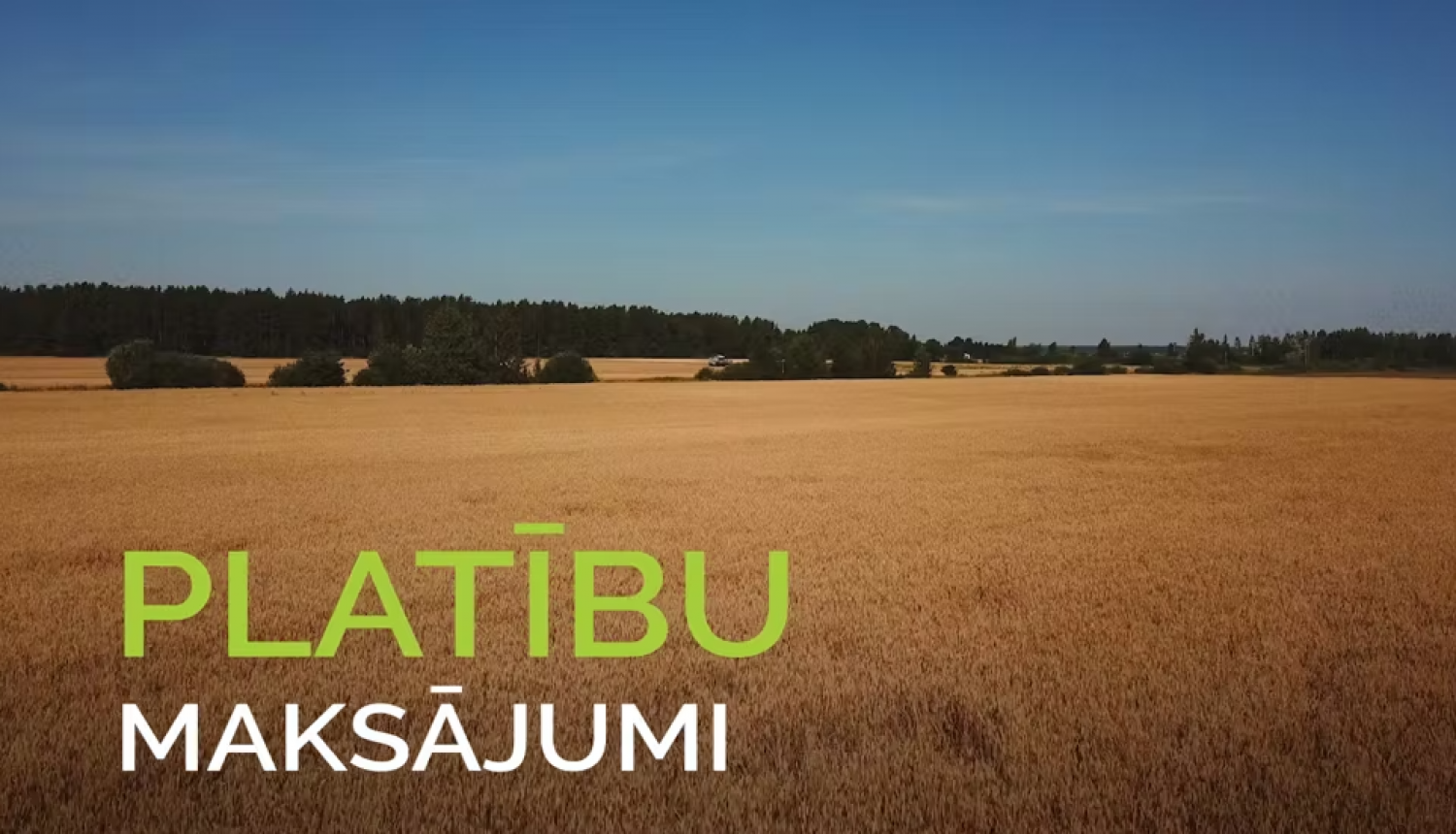 platibu maks