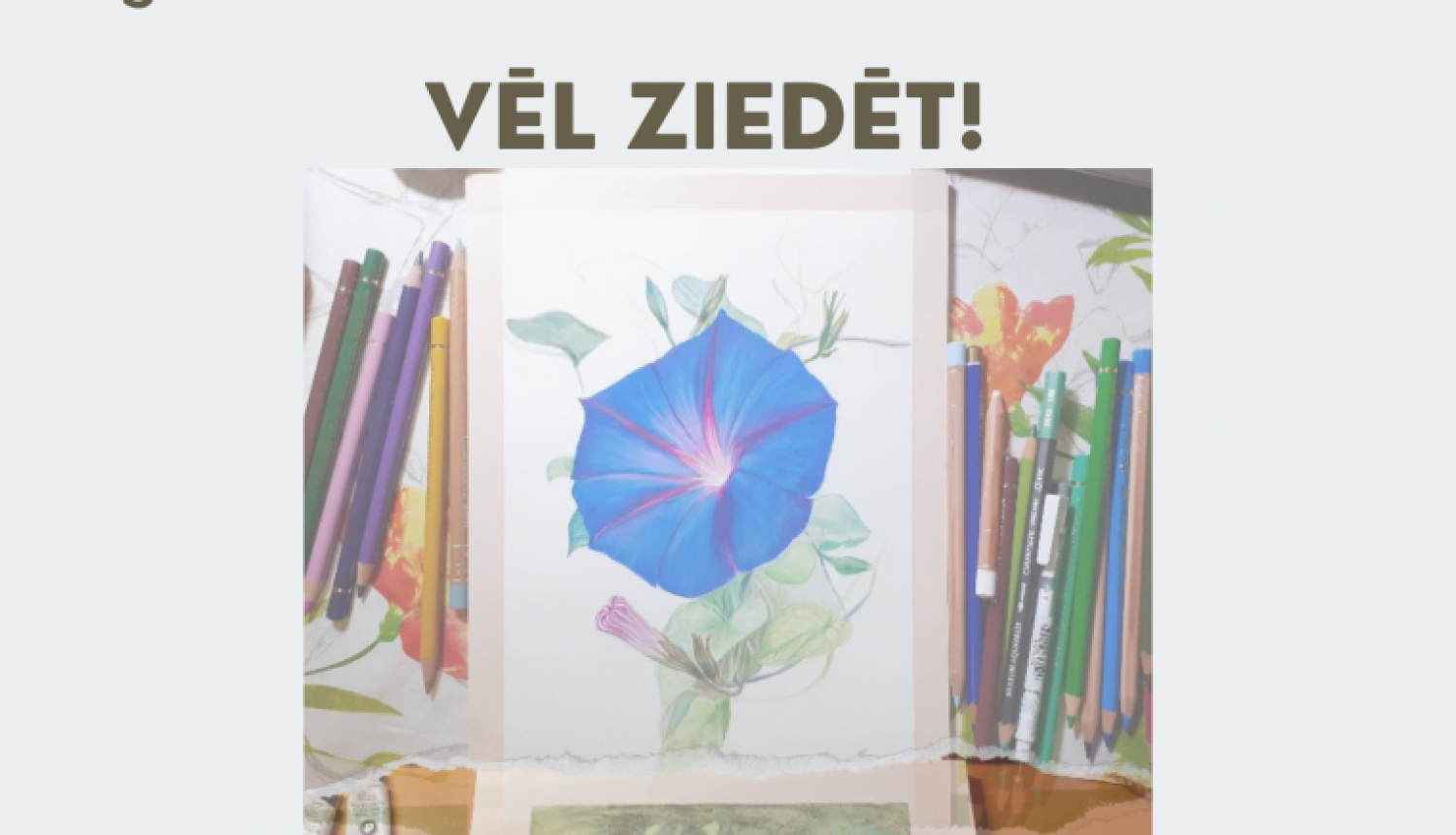 vel ziedet